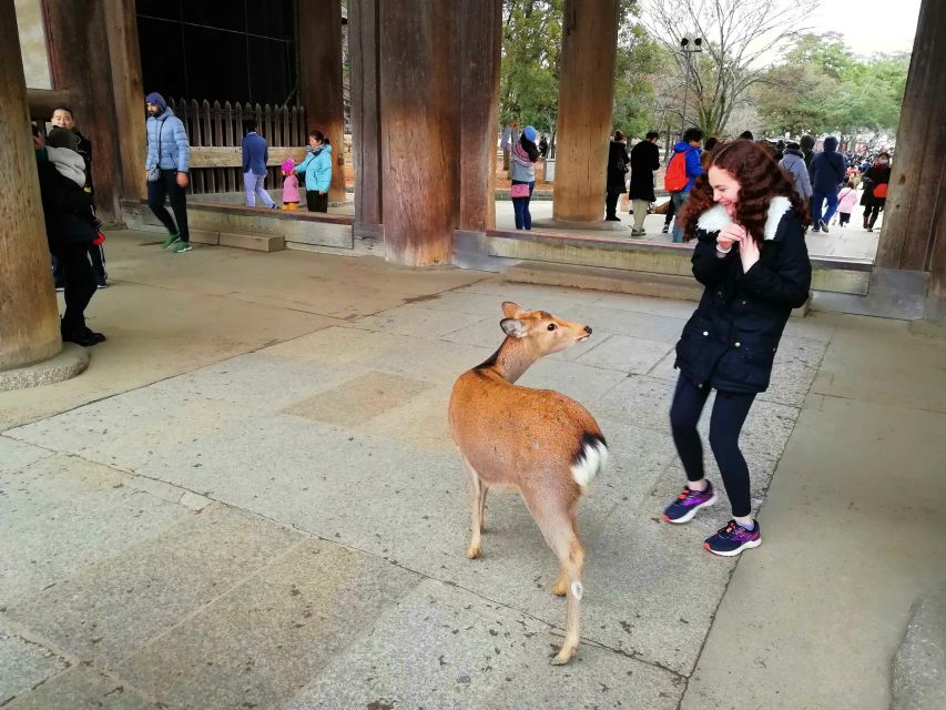 Nara: Nara Park Private Family Bike Tour With Lunch - Full Description of the Tour