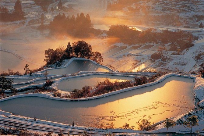 Niigata Full-Day Private Tour With Government-Licensed Guide - Cancellation Policy