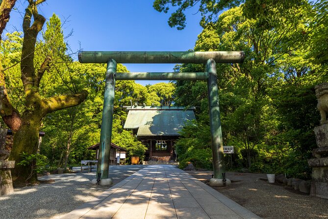 Ninja, Samurai, Odawara Castle Experience - Traveler Photos