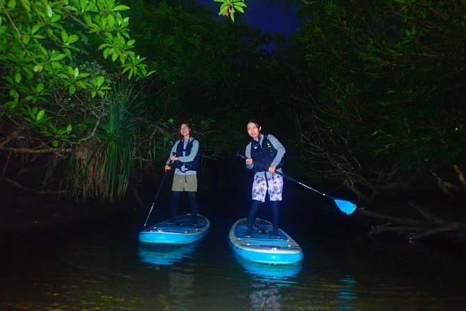 [Okinawa Iriomote] Night SUP/Canoe Tour in Iriomote Island - Reviews