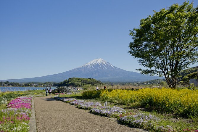 One Day Private Tour of Mt Fuji With English Speaking Driver - Additional Charges for Pick-ups and Drop-offs
