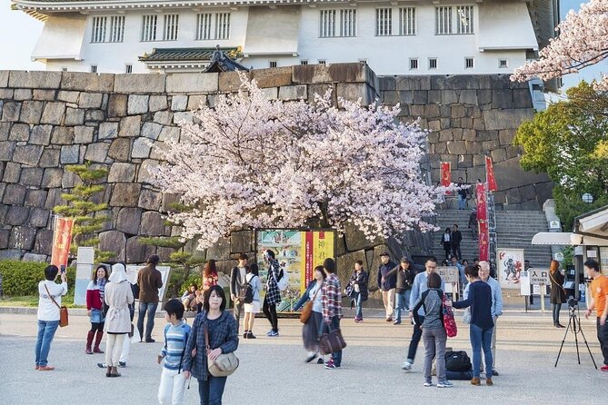 Osaka Cherry Blossom Tour With a Local: 100% Personalized Private - Flexible Meeting Point Options