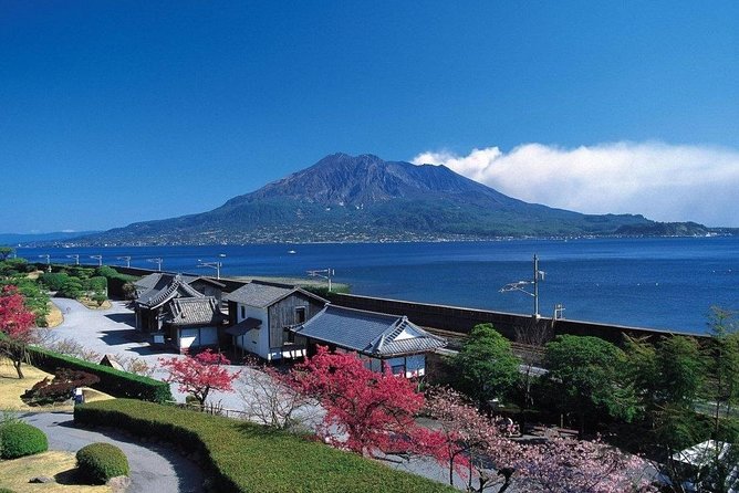 Port Pick-Up: Kagoshima Private Tour Licensed Guide＆ Vehicle - Tour Details