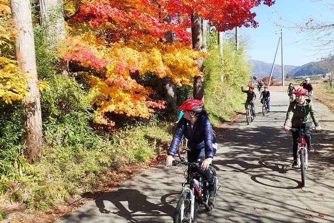 Private Afternoon Cycling Tour in Hida-Furukawa - Cultural Experiences