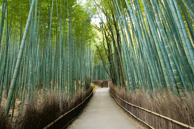 Private Arashiyama Walking Tour: Bamboo, Monkeys & Secrets - Uncovering the Secrets of Arashiyama