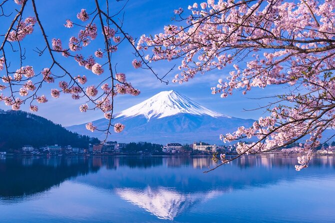 Private Car/Van Charter Full Day Tour MT Fuji And Hakone, (Guide) - Booking and Cancellation Policy