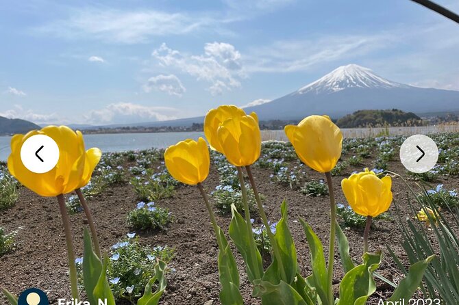 Private Full-Day Mt Fuji Hakone Tour English Driver Guide by Car - Communication and Language Skills