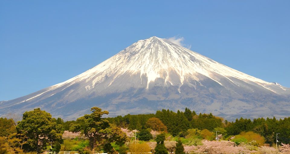 Private Full-Day Tour From Tokyo to Mount Fuji and Hakone - Convenient Pickup and Drop-Off Locations