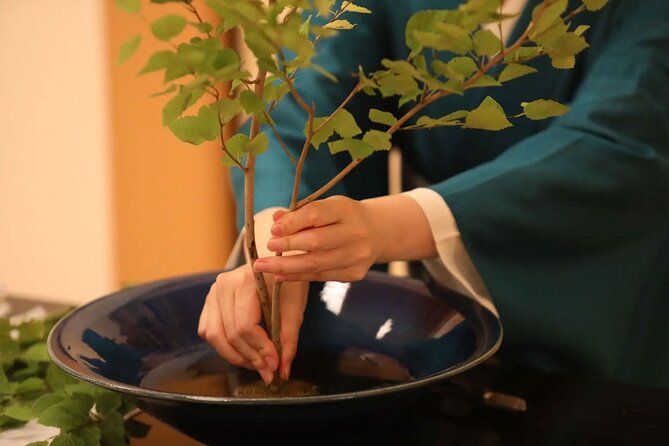 Private Japanese Traditional Flower Arrangement in Tokyo - Learn Ikebana Techniques in Tokyo