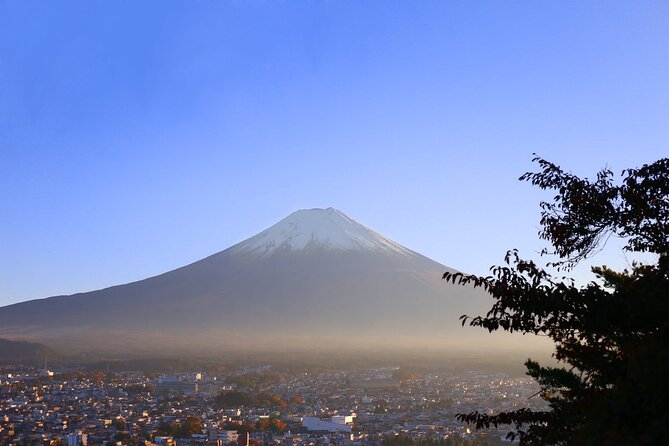 Private One Day Mt. Fuji - Lake Kawaguchiko Tour With Bilingual Driver - Traveler Photos and Experiences