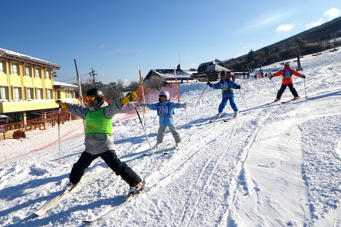 Private Ski Lesson for Family or Group(Transport Included ) - Customer Feedback