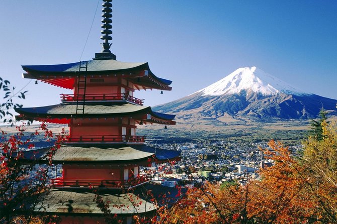 Private Transport Mt Fuji and Hakone 1 Day Trip - Whats Included