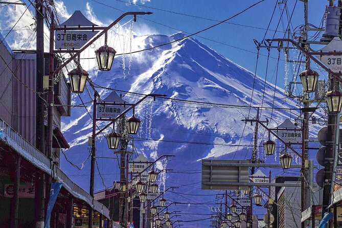 Retreat Bus Tour Surrounded by Beautiful Mt.Fuji - Additional Information