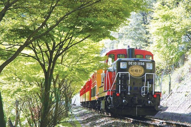 Sagano Romantic Train & Arashiyama, Kiyomizudera, Fushimi Inari Taisha Day Tour - Well-Managed Tour and Beautiful Scenery and Sites