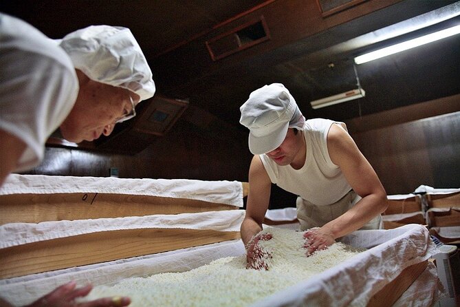 Sake Brewery Visit and Tasting Tour in Hida - Step-by-Step Sake Making Process