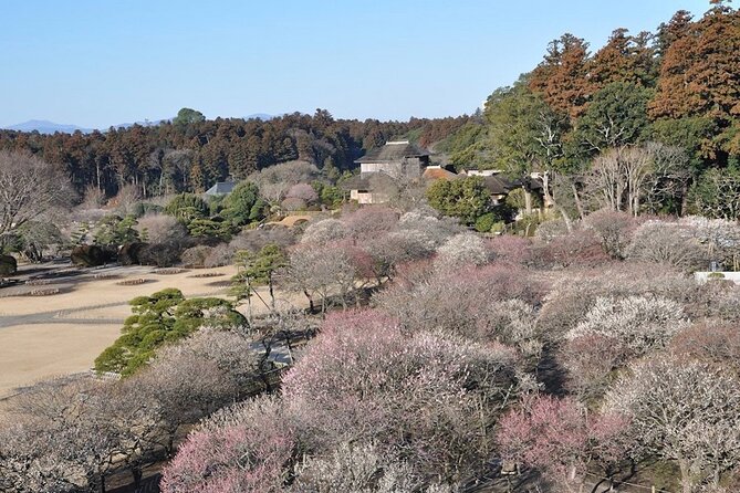 Samurai Private Tour With Umeshu Tasting in Mito - Directions and Pickup Location