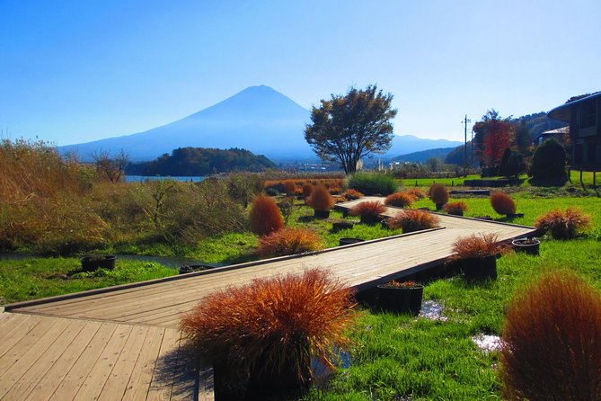Scenic Spots of Mt Fuji and Lake Kawaguchi 1 Day Bus Tour - Reviews and Feedback