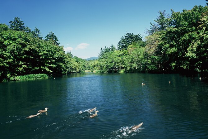 Self Guided Tour in Karuizawa With Bullet Train Ticket - The Sum Up