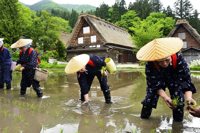 Shirakawago Day Trip: Government Licensed Guide & Vehicle From Kanazawa - Terms & Conditions