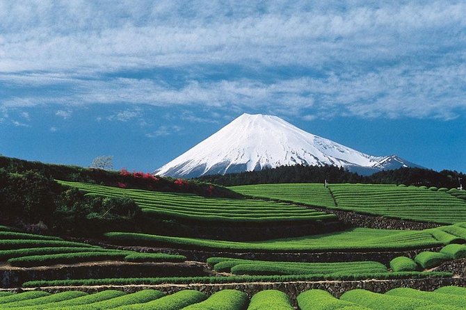 Shizuoka/Shimizu Mt Fuji View 6 Hr Private Tour: Guide Only - Reviews and Testimonials