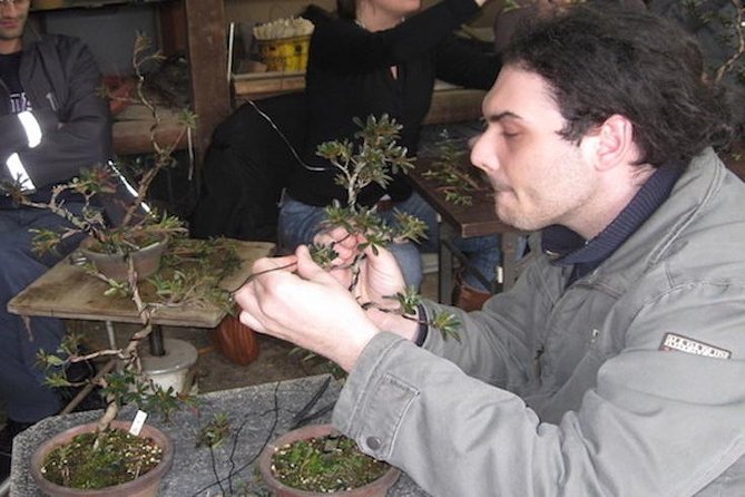 Small-Group 2-Hour Bonsai-Making Lesson in Tokyo - Additional Information