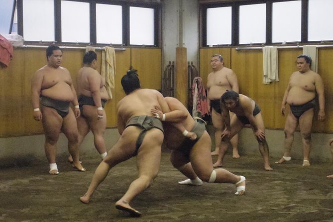 Sumo Morning Practice Tour at Stable in Tokyo - Positive Reviews