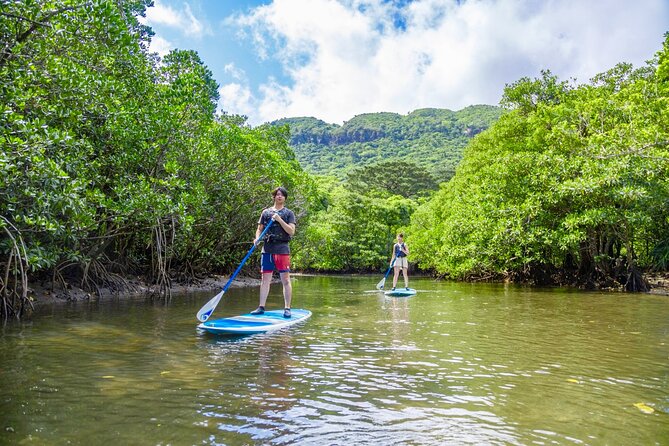 SUP/Canoe Tour In Mangrove Forest in Iriomote Okinawa - Immerse Yourself in the Natural Beauty of Iriomote Island