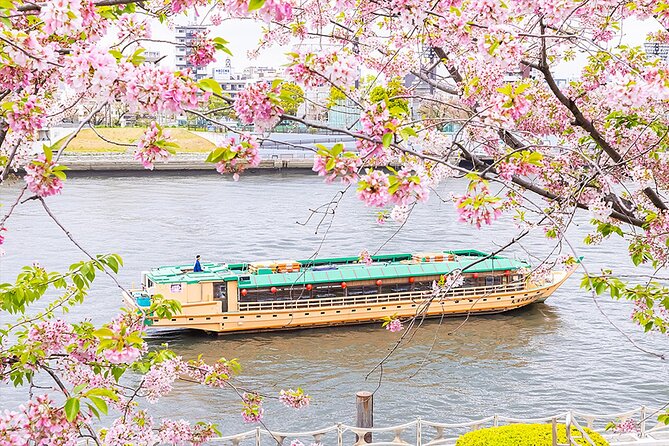 Tokyo Cherry-Blossom Viewing Traditional Dinner Cruise - Meeting and Pickup