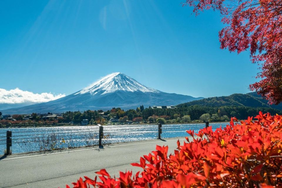 Tokyo: Mt Fuji Area, Lake Ashi, Owakudani, Onsen 1-Day Tour - Full Description