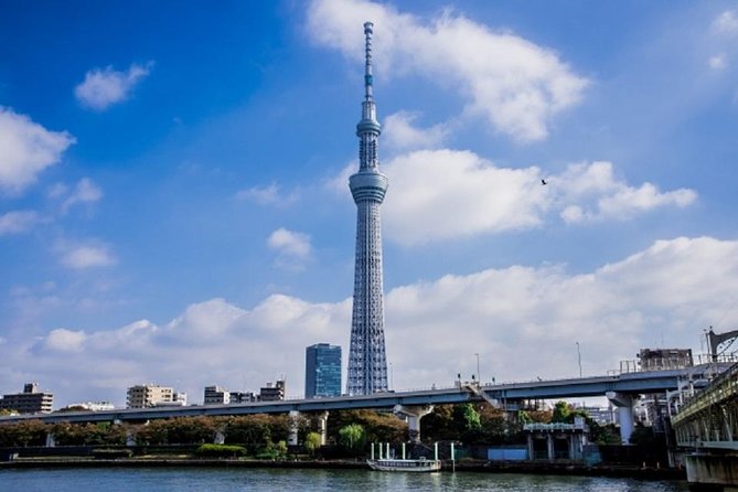 Tokyo Private Customized City Tour - Positive Reviews