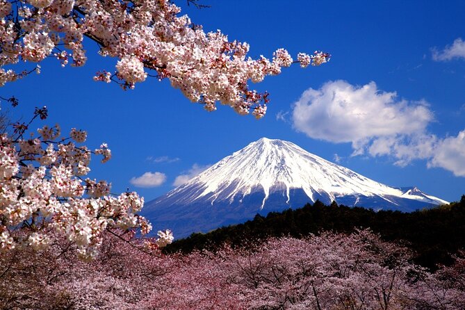 Virtual Tour to Discover Mount Fuji - Additional Info: Important Details for Your Virtual Tour