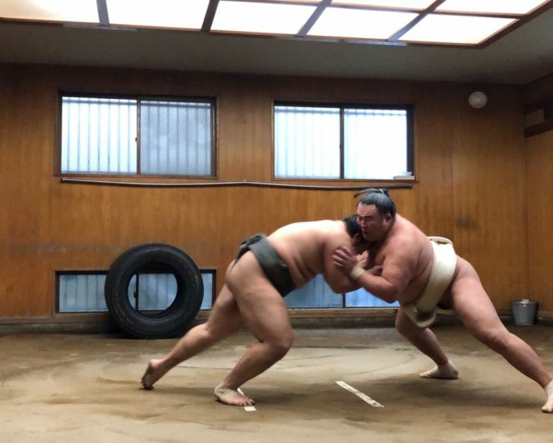 [W/ Sumo Lunch] Tokyo Sumo Morning Practice Tour in Ryogoku - Full Experience Description