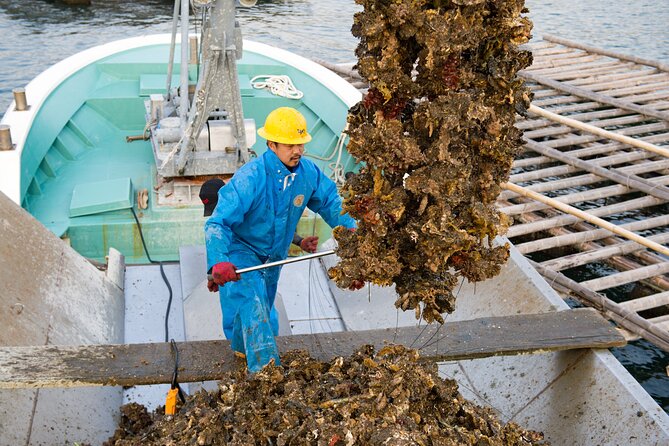Witness an Oyster Harvest & Interact With Local Oyster Farmers! - Logistics