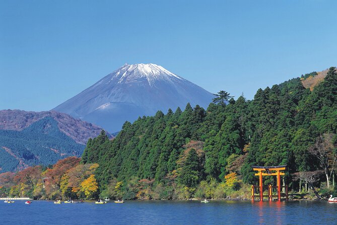 1 Day Private Tour in Mt.Fuji and Hakone English Speaking Driver - Drivers Expertise