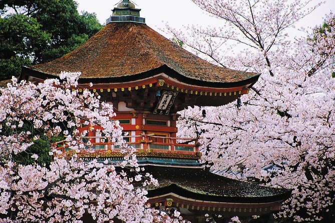 7-Day Guided Tour in Tokyo, Mount Fuji, Kyoto, Nara and Osaka - Dining Experiences