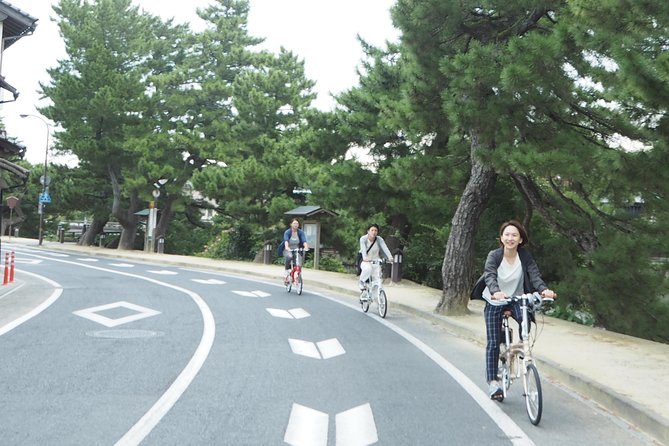An E-Bike Cycling Tour of Matsue That Will Add to Your Enjoyment of the City - Practical Details: Pricing, Booking, and Tips