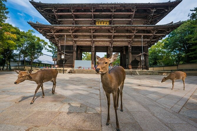 Arashiyama & Yasaka Shrine & Nara & Todaiji Day Trip From Osaka - Deer Park in Nara