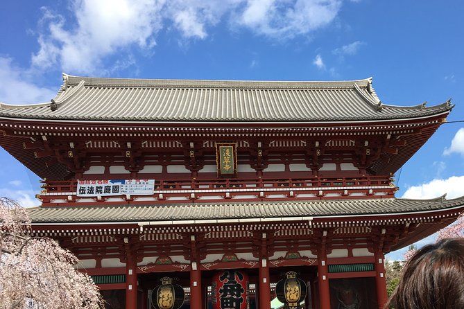 Cherry Blossom Tour in Tokyo - Pricing and Booking Details