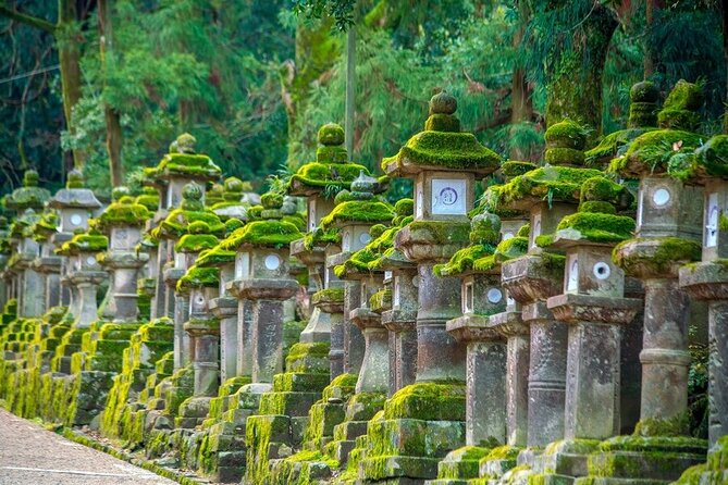 Explore the Best Spots of Arashiyama / Nara in a One Day Private Tour From Kyoto - Arashiyama Monkey Park Iwatayama