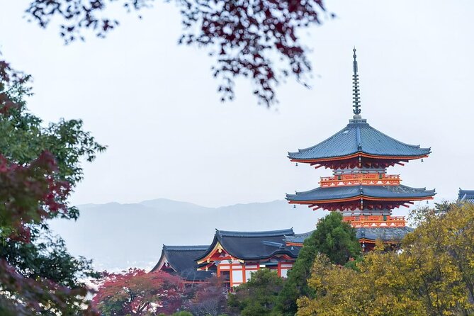 From Osaka: 10-hour Private Custom Tour to Kyoto - Cancellation Policy