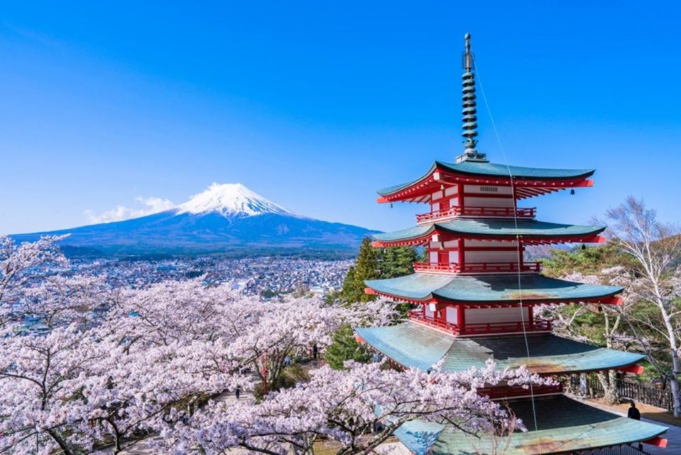 From Tokyo: Mount Fuji Day Trip With Yamanakako Hot Springs - Inclusions
