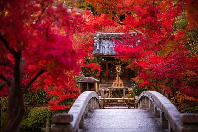 Full Day Hidden Kyotogenic for Autumn Tour in Kyoto - Practical Information