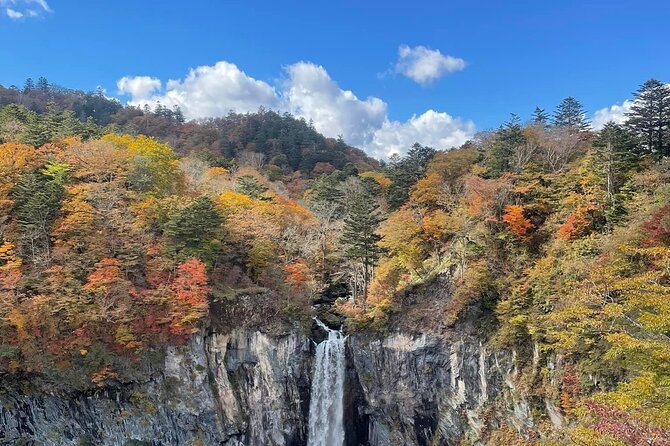 Full Day Nikko Private Tour With English Speaking Guide. - Important Reminders