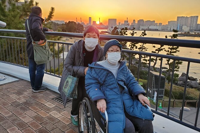 Full Day Private Tokyo Tour for Wheelchair Users - Included Activities