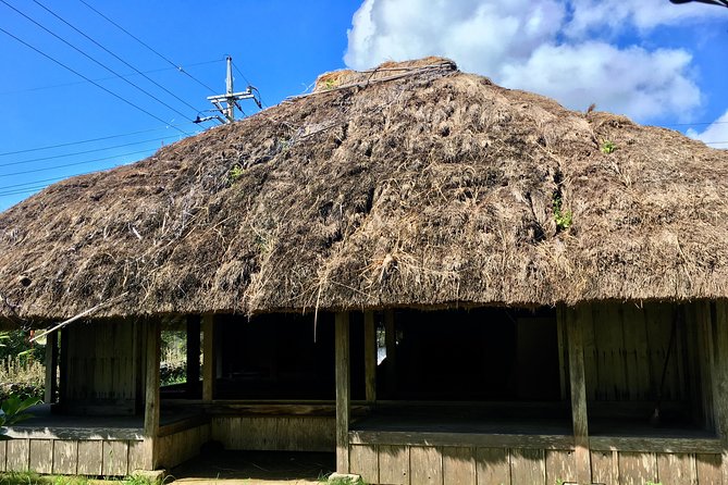 Half-Day Walking Tour to Indigenous Iriomote Village  - Iriomote-jima - Experience and Activities