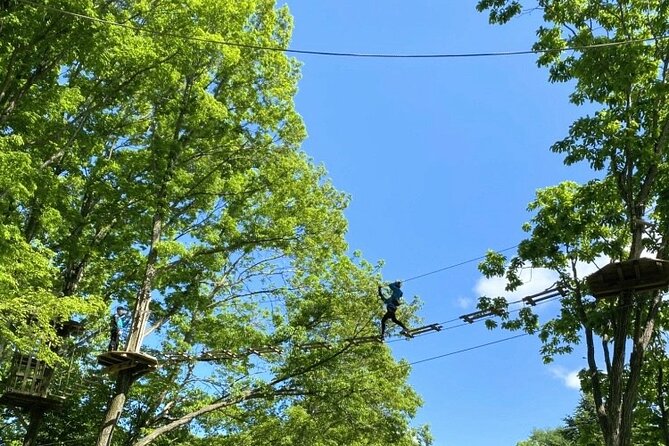 Hokkaido Wild Experiences: Forest Adventure and Day Camp - Fun-filled Outdoor Activities for All Ages