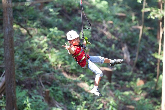 Hokkaido Wild Experiences: Forest Adventure and Day Camp - Location and Group Information