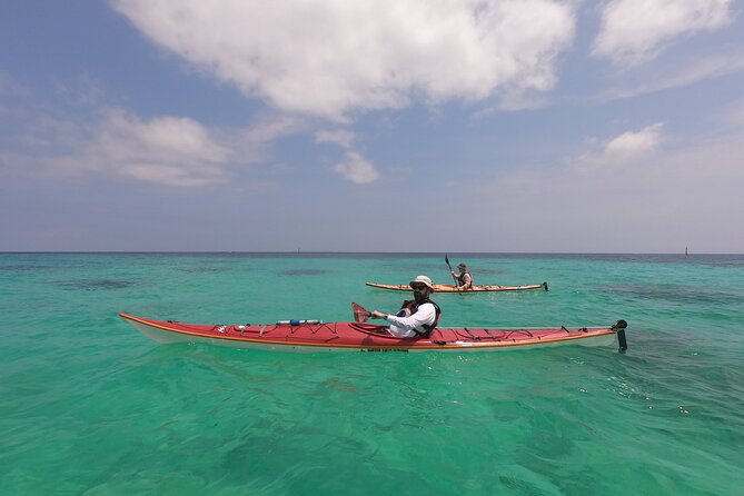 Kayak & Snorkel: Private Tour in Yanbaru, North Okinawa - Pickup and Drop-off