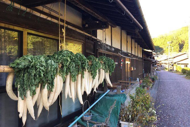 Kiso Valley Nakasendo Private Guided Day Hike  - Gifu Prefecture - Enjoying the Landscapes and Staying Active
