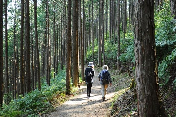 Kumano Kodo Pilgrimage Full-Day Private Trip With Government Licensed Guide - Cancellation Policy and Refund Information